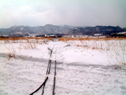 切断された支線(全景)